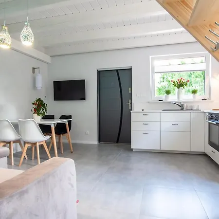 Zacisze Kaszuby - Natural - New Chalet *