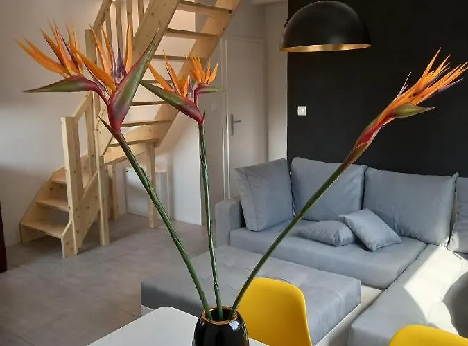 Chalé - Kaszuby Zacisze - New Chmielno